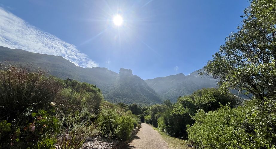 Kirstenbosch Kaapstad Zuid Afrika groepsrondreis 2